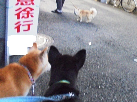 DSC02644.JPG