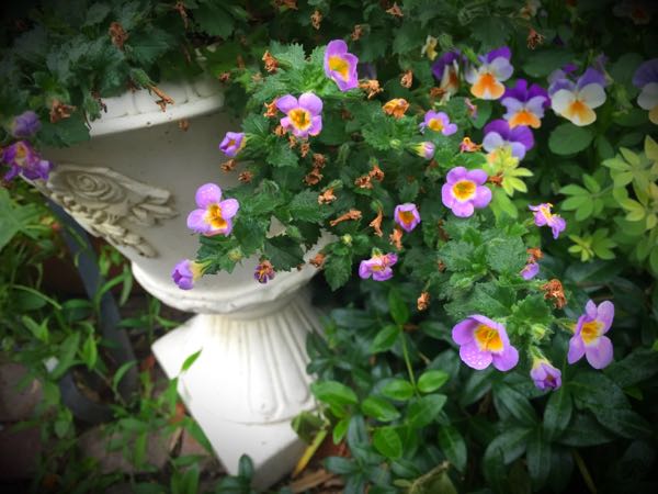 rblog-20160530191535-04.jpg