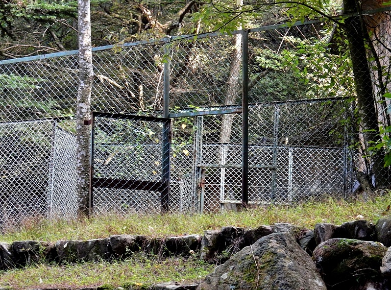 カモシカ園 開かれた扉.JPG