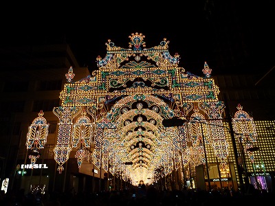 P1060334.jpg