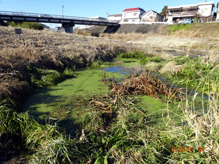 湧水池.jpg