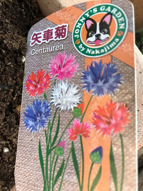 rblog-20190324173828-07.jpg
