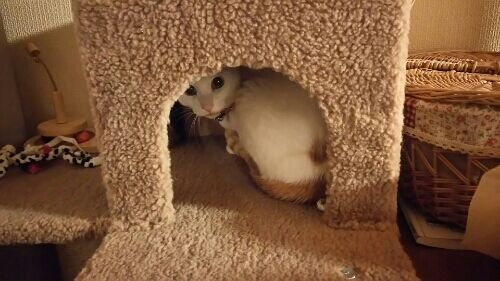 rblog-20170118214157-02.jpg
