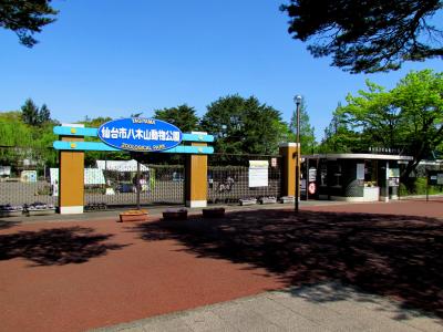 lrg_25365669.jpg
