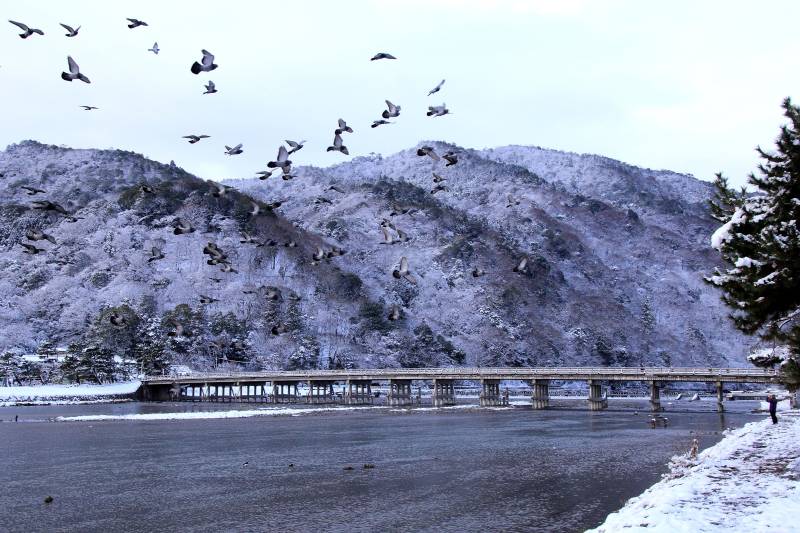 渡月橋_005.jpg
