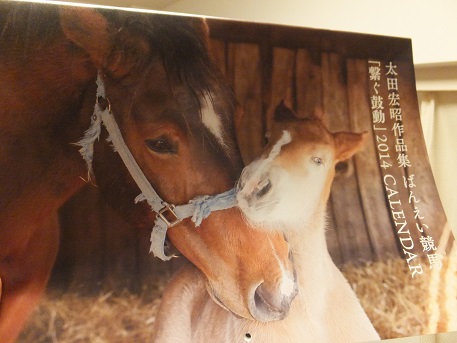 楽天競馬東京競馬場４.jpg