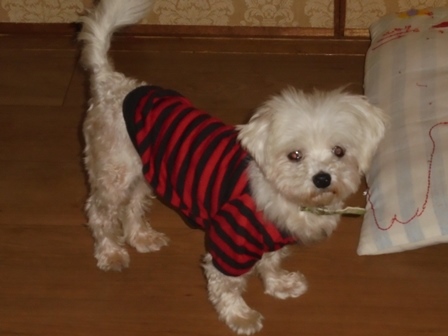DSC01153.JPG