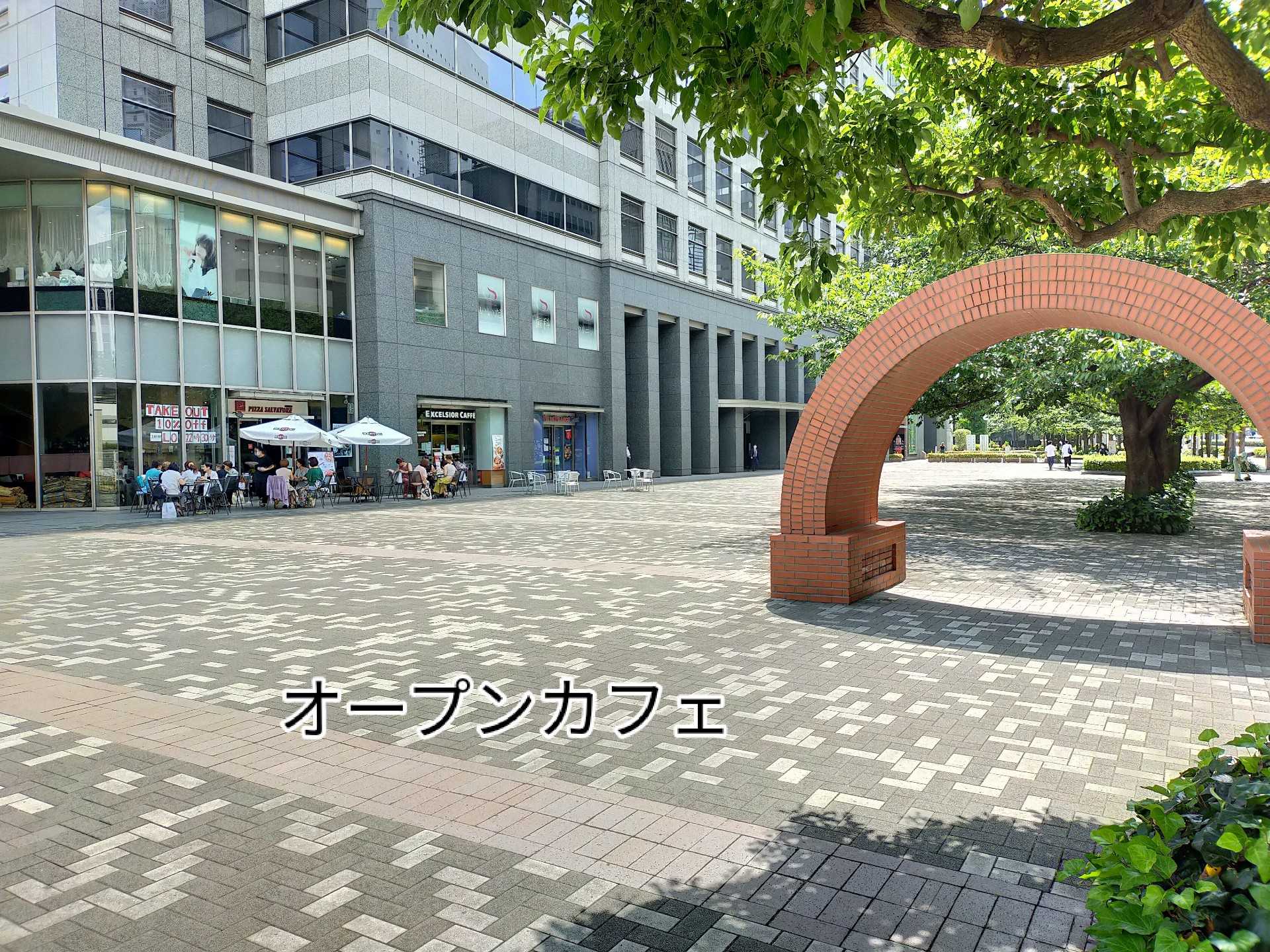 ガラスのピラミッド オープンカフェ そらちゃん不満顔 皿うどん ハナトラノオ そらちゃんに癒やされました 楽天ブログ