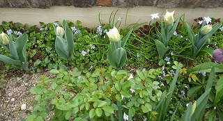 P1160965-ass.jpg