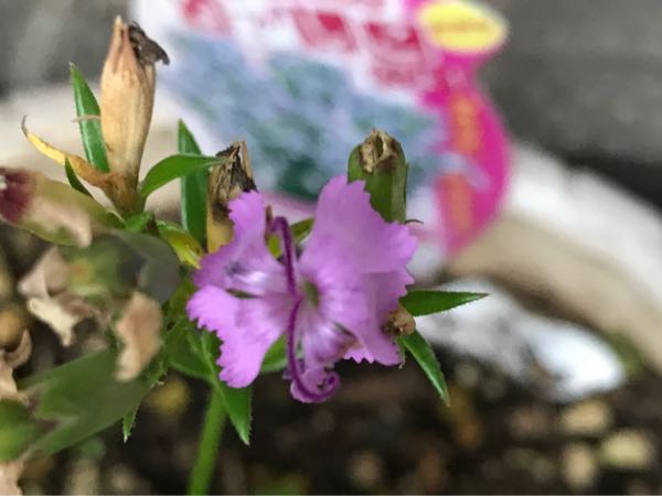 rblog-20181108170137-01.jpg