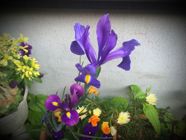 rblog-20160426175049-00.jpg