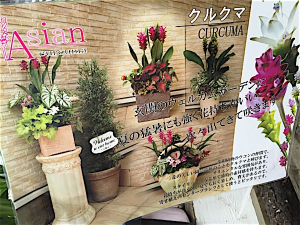 rblog-20160911170221-04.jpg