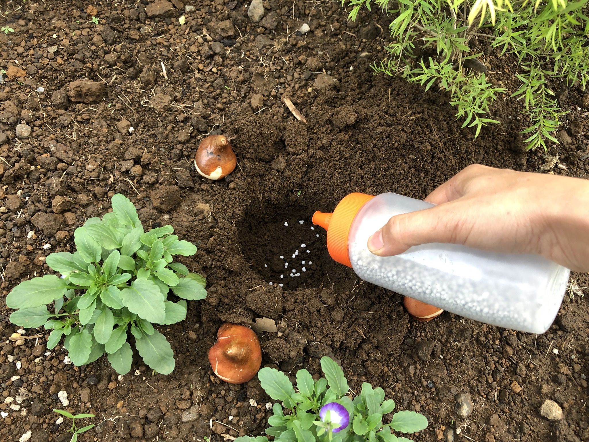 庭仕事 庭ぐらし 楽天ブログ