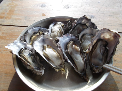 140126_牡蛎のガンガン焼き@早川漁村