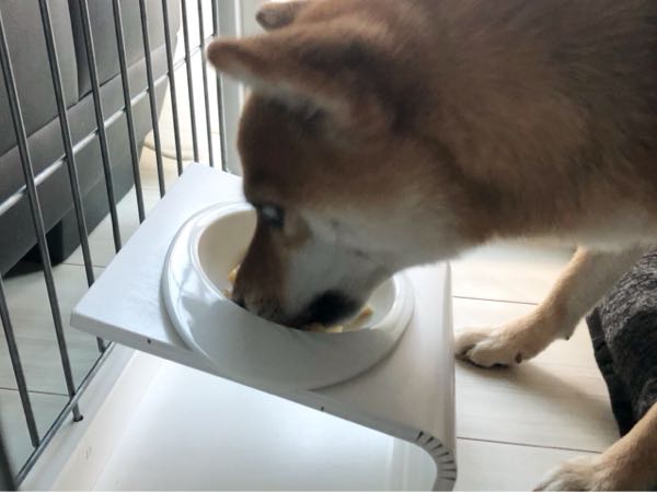 rblog-20180112092415-01.jpg