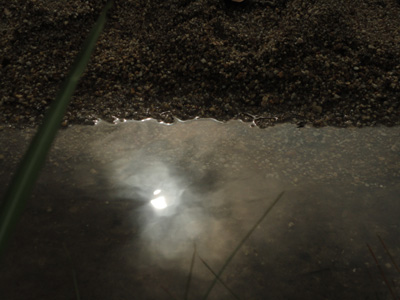 DSC01418-.jpg