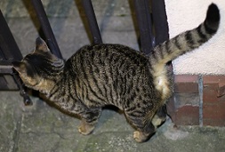 5DA_9090-9.jpg