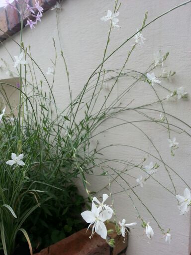rblog-20140722210504-01.jpg