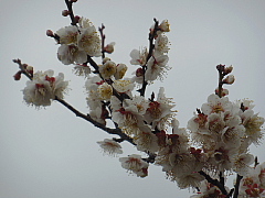 conv0456.JPG