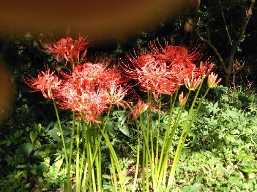 rblog-20180911184507-01.jpg