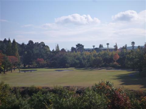 P1090047.jpg