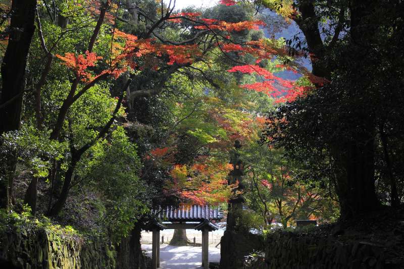 興聖寺_003.jpg