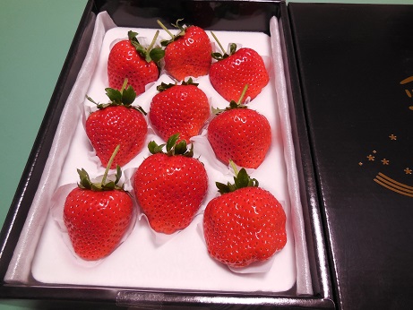 DSCN9935.JPG