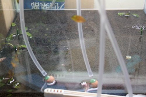 2014122804.JPG