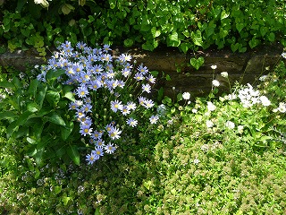 P1020783ss.jpg