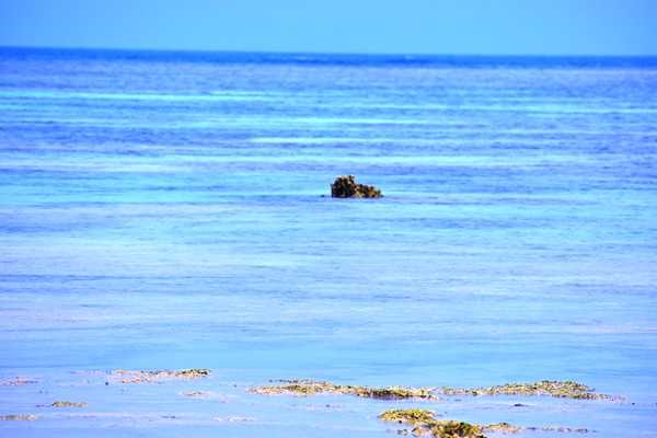 多良間島をご紹介させていただきます 21 03宮古島多良間島 スチュワデスが呆れたドクタートヒモイ公式げすとはうす 世界は基本的に広い んですけど 楽天ブログ