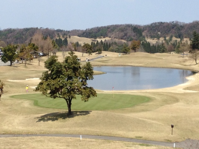 rblog-20130413153333-01.jpg