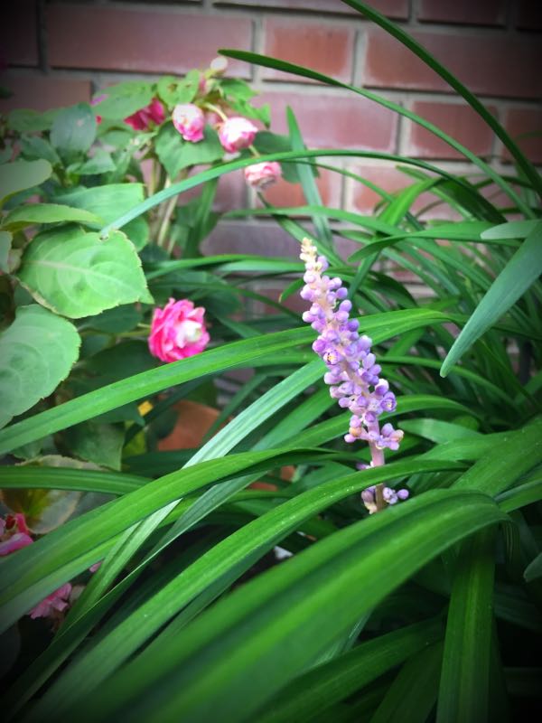 rblog-20160725203748-03.jpg