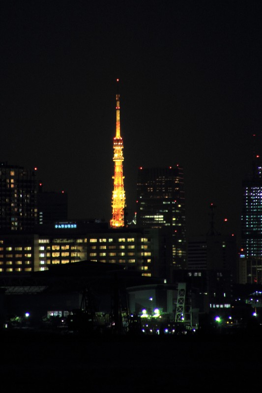 東京ゲートブリッジと光跡_003.jpg