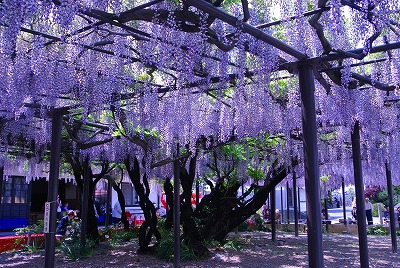 DSC_2478.jpg