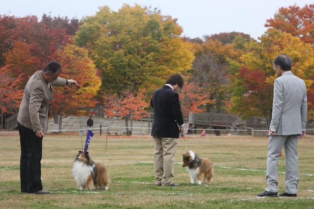 IMG_2300 - コピー.JPG