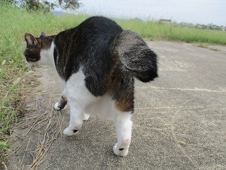 IMG_0261ss.jpg