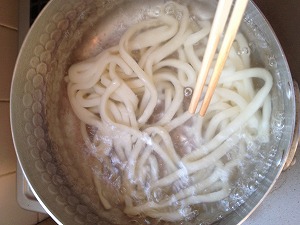 ドッグヌードル