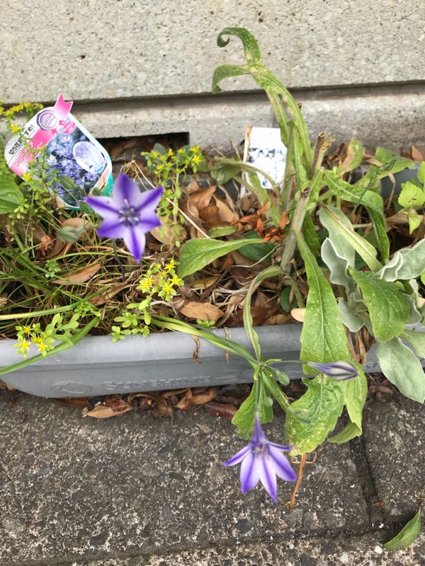 rblog-20180531150201-04.jpg