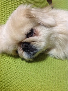 20130216-3.jpg