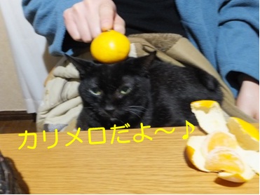 20121029_3.jpg