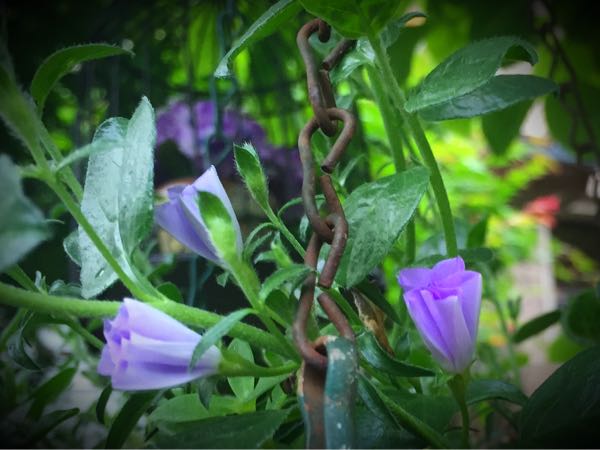rblog-20160530191535-08.jpg