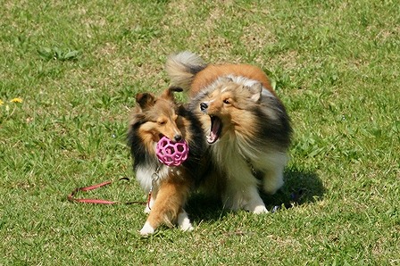 DSC00426.jpg