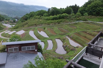 DSCF1342.jpg