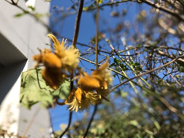 rblog-20170203081301-01.jpg