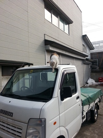 20130309_145001.jpg