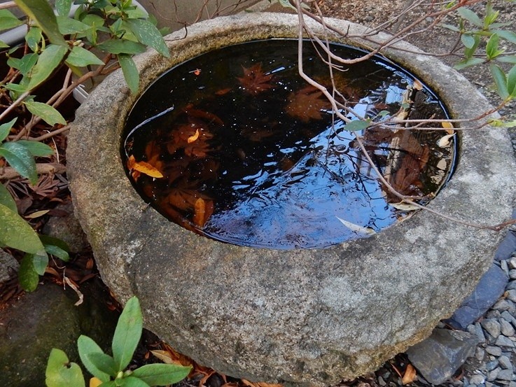 庭の氷