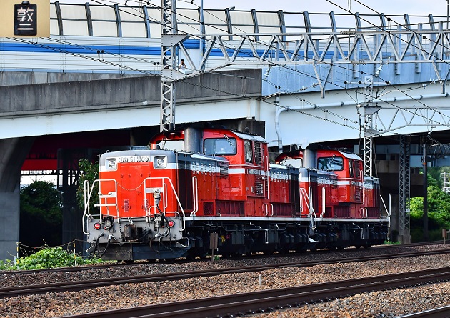 DSC_6362.JPG