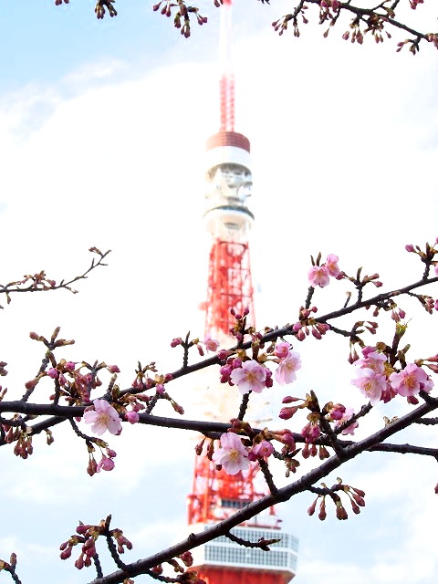 P2030062.jpg