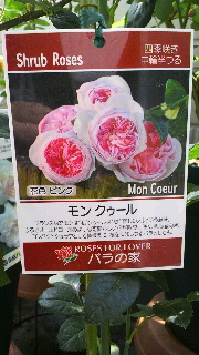 2013051420570000.jpg