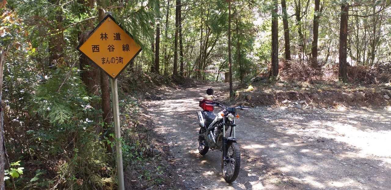 2ページ目の記事一覧 永遠のビギナーバイク乗り 楽天ブログ